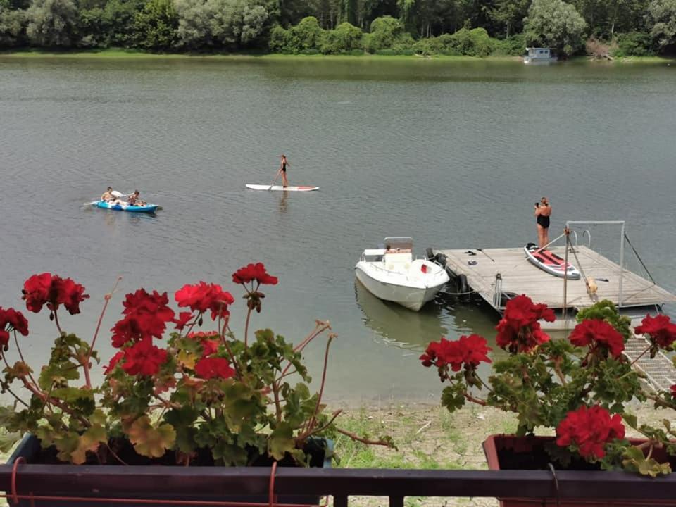 Vila Odmor Na Dunavu Beocin Bagian luar foto
